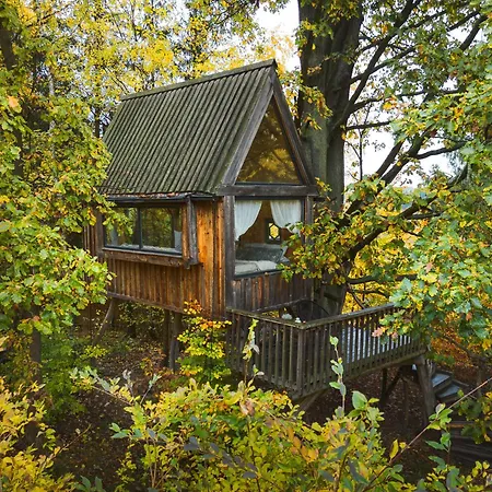Enjoy Cozy Tree House Hills Forest Gardens Beautiful Views Sauna Hotbath Jablonne v Podjestedi Exterior photo