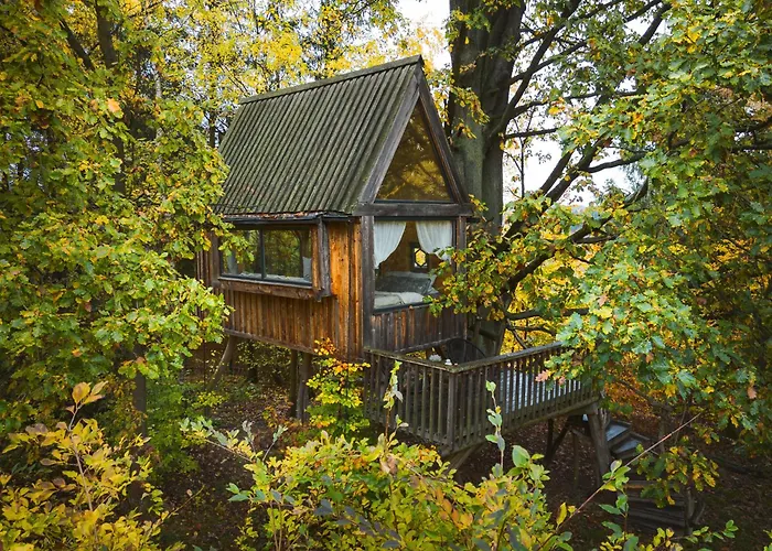 Enjoy Cozy Tree House Hills Forest Gardens Beautiful Views Sauna Hotbath