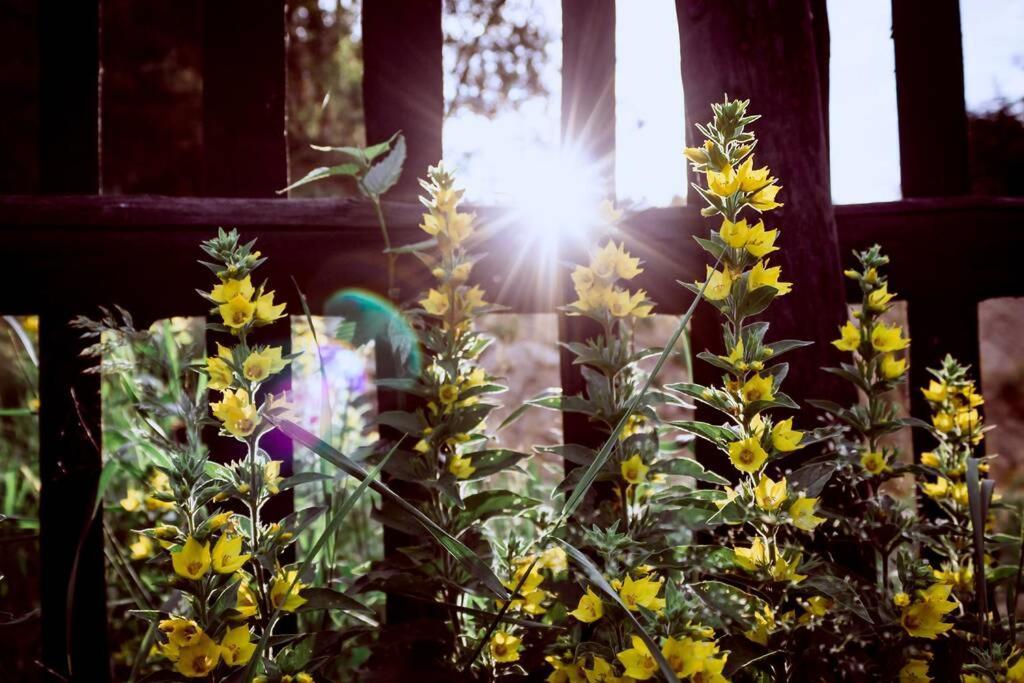 Enjoy Cozy Tree House Hills Forest Gardens Beautiful Views Sauna Hotbath Holiday home