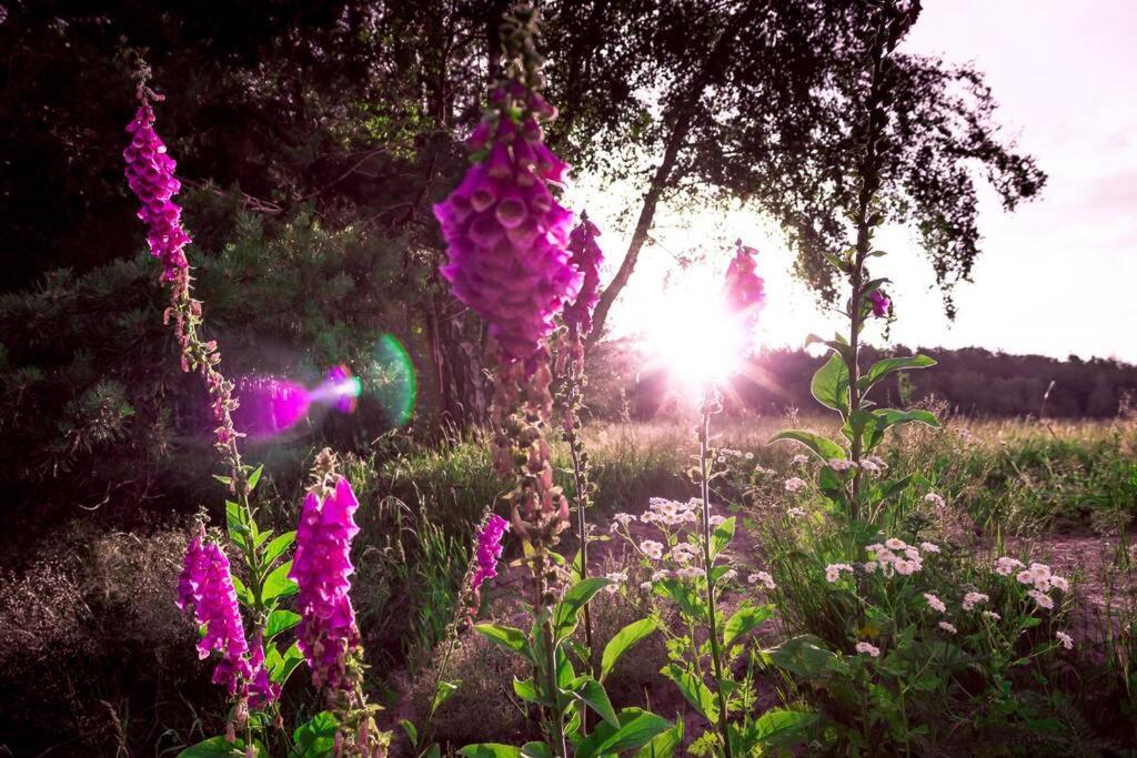 Будинок відпочинку Enjoy Cozy Tree House Hills Forest Gardens Beautiful Views Sauna Hotbath *