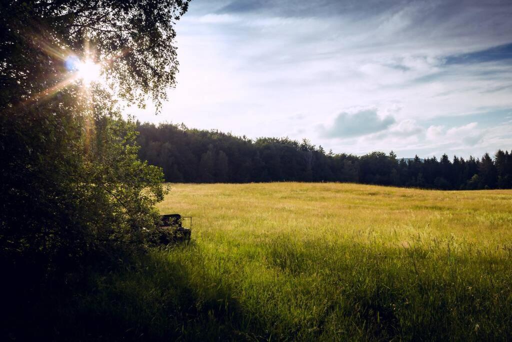 Enjoy Cozy Tree House Hills Forest Gardens Beautiful Views Sauna Hotbath Будинок відпочинку Jablonne v Podjestedi