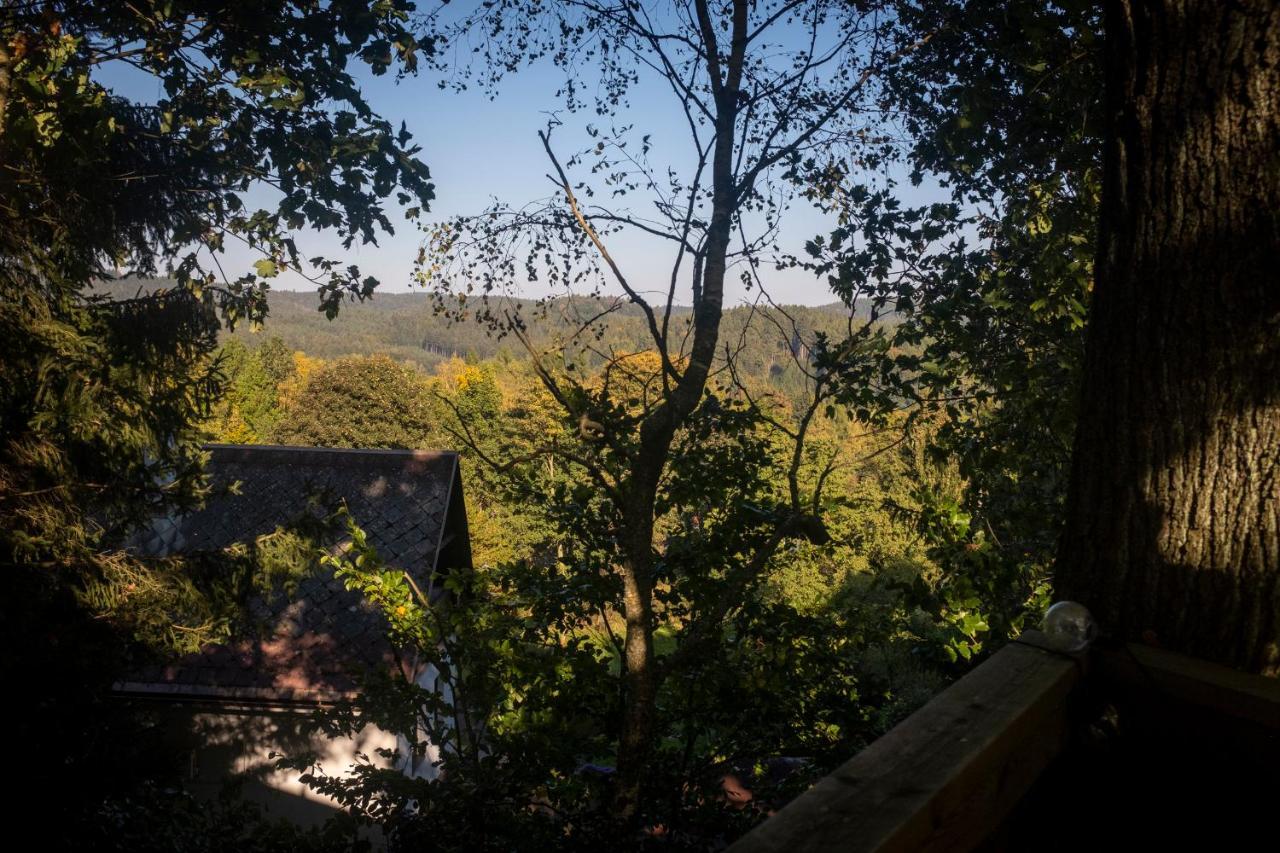 Enjoy Cozy Tree House Hills Forest Gardens Beautiful Views Sauna Hotbath Jablonne v Podjestedi