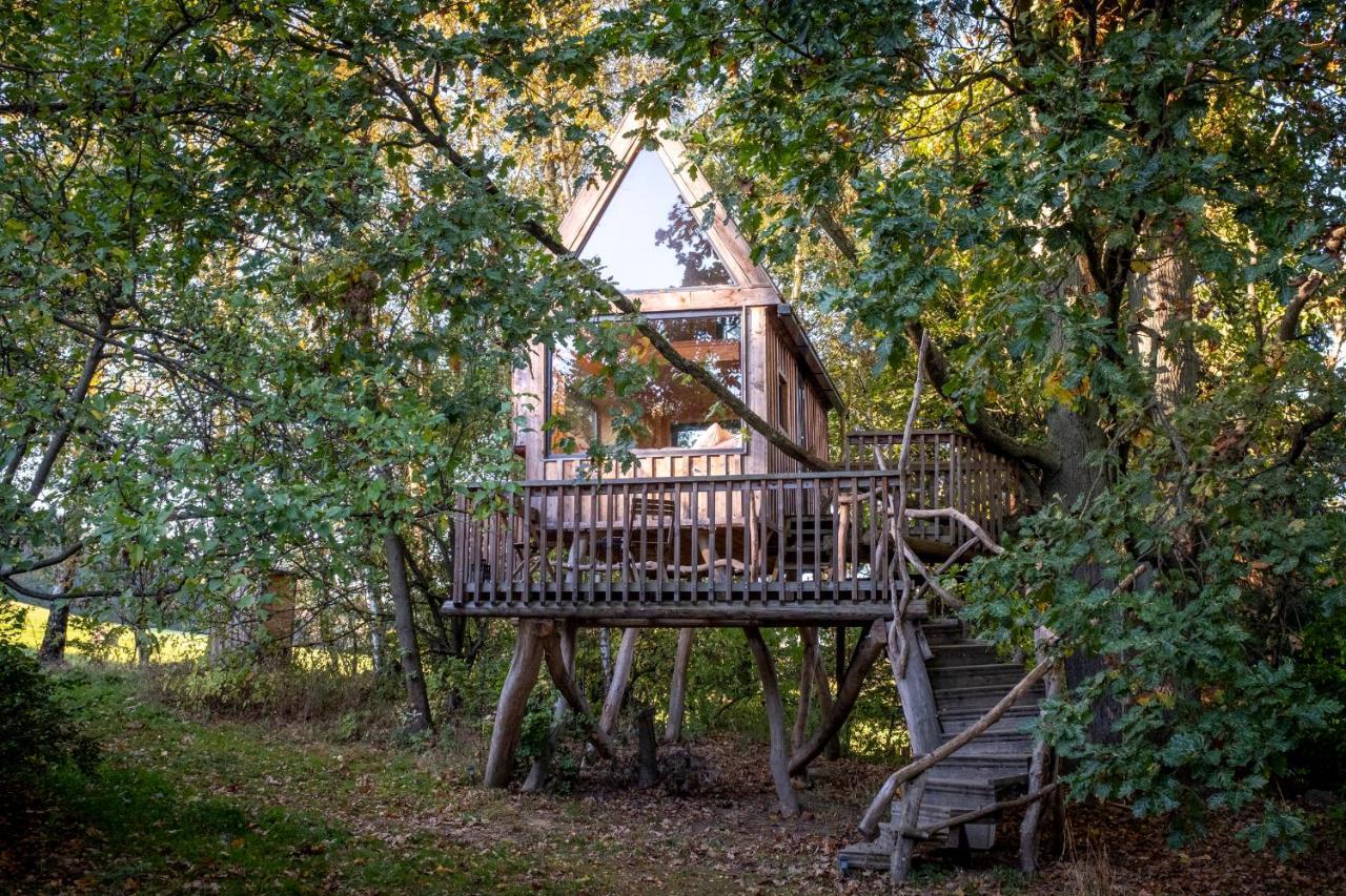 Enjoy Cozy Tree House Hills Forest Gardens Beautiful Views Sauna Hotbath * Jablonne v Podjestedi