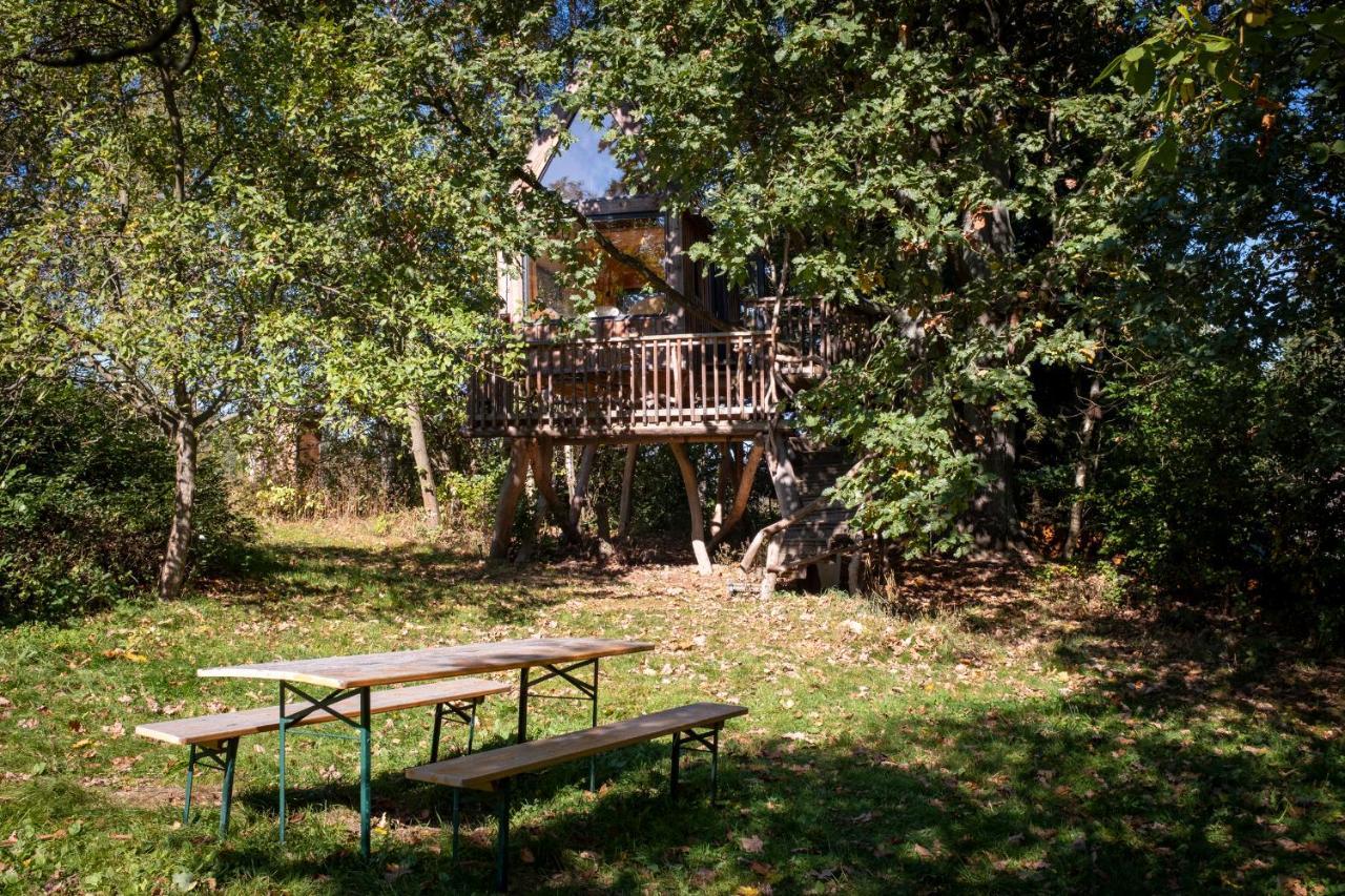 Enjoy Cozy Tree House Hills Forest Gardens Beautiful Views Sauna Hotbath Jablonne v Podjestedi