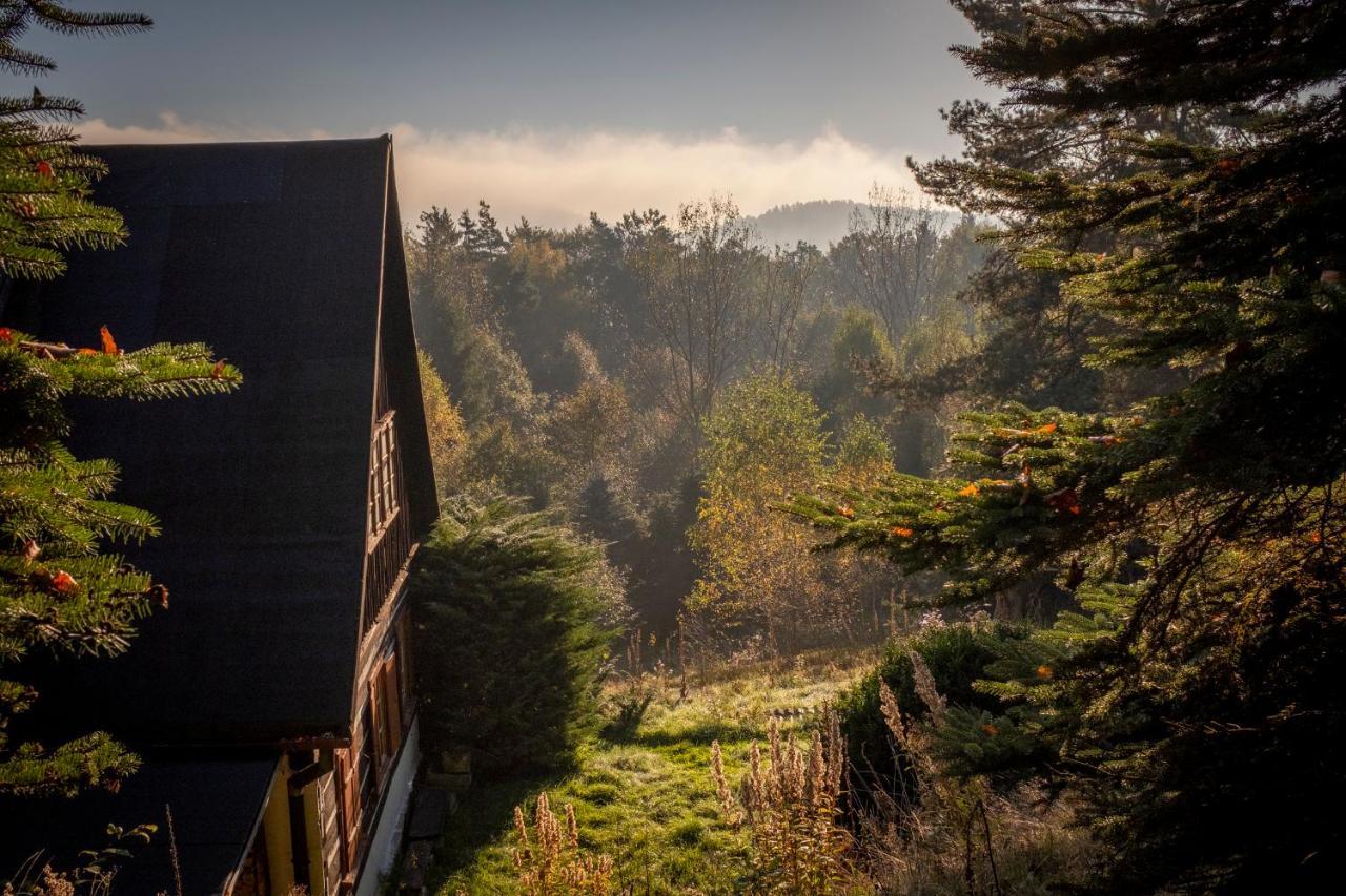 Holiday home Enjoy Cozy Tree House Hills Forest Gardens Beautiful Views Sauna Hotbath Jablonne v Podjestedi