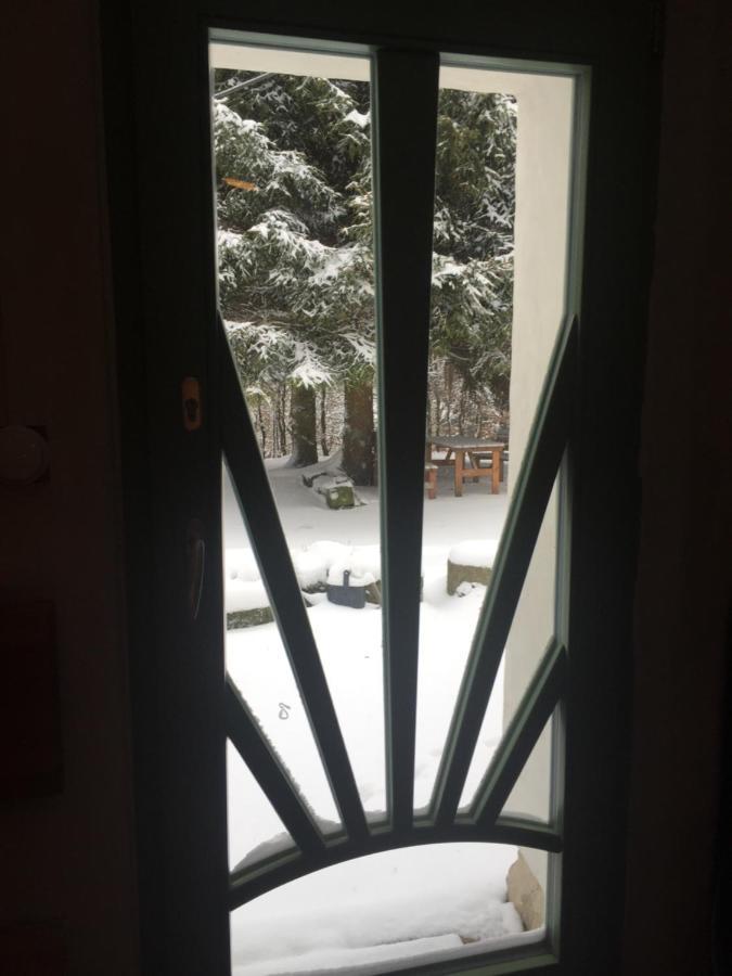 Enjoy Cozy Tree House Hills Forest Gardens Beautiful Views Sauna Hotbath *